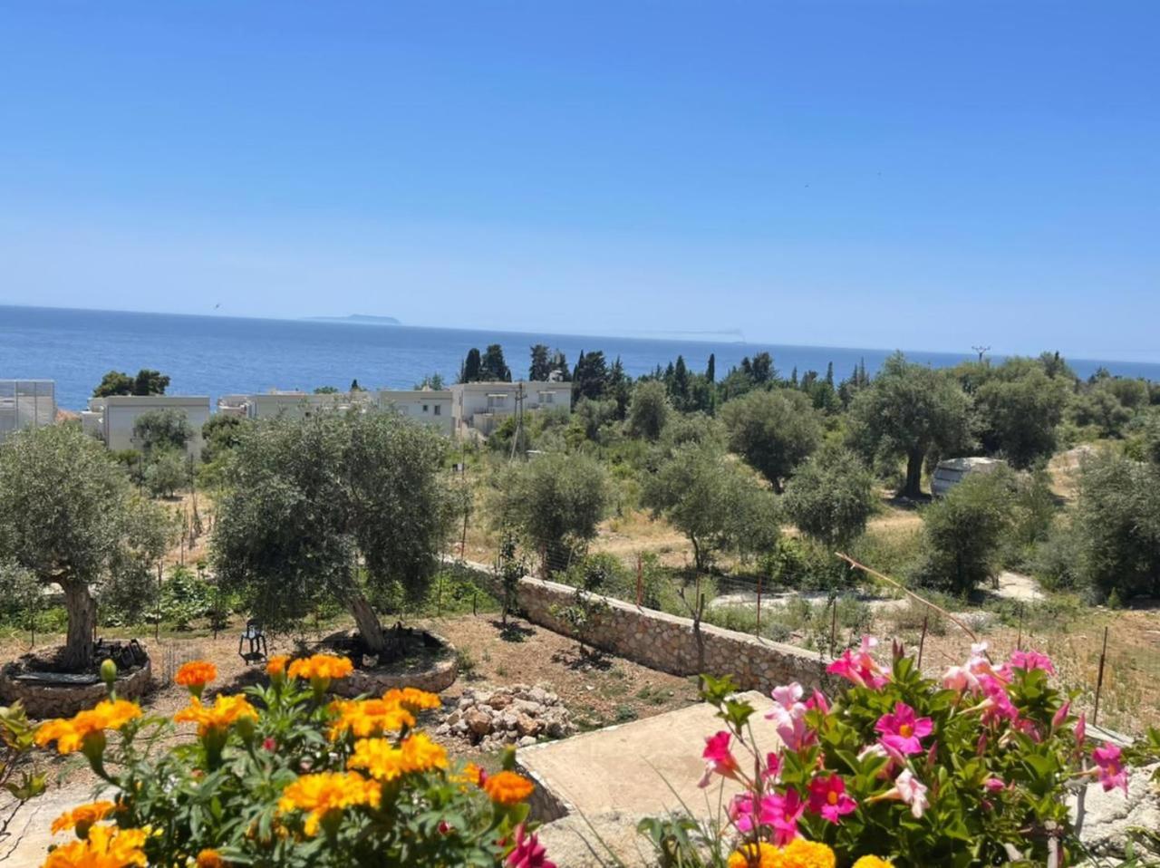 Exclusive Greccia Inn Dhërmi Екстериор снимка
